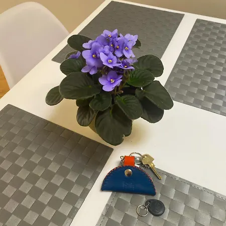 Meissner * Kuressaare