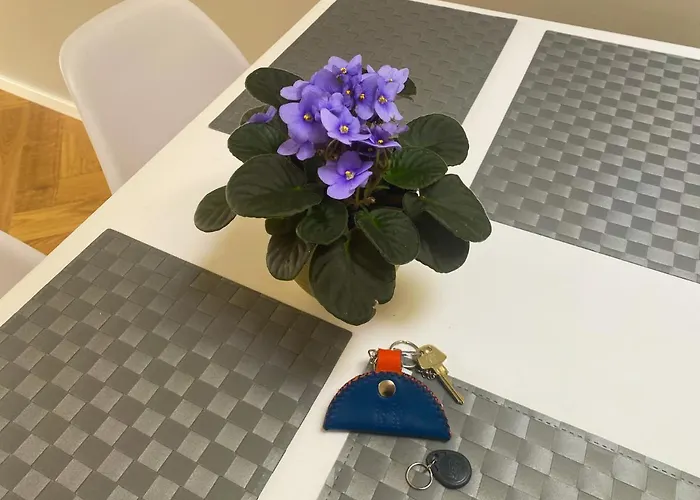 Meissner * Kuressaare